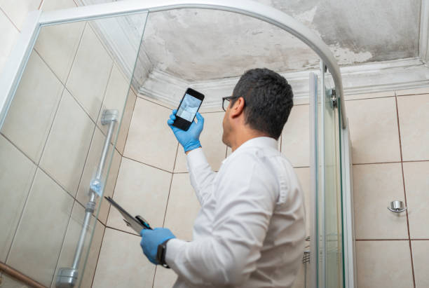istockphoto-1421538142-612x612 istockphoto-1421538142-612x612